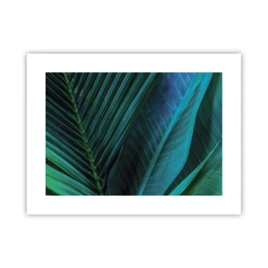 Plakat - Anatomia zieleni - 40x30 cm