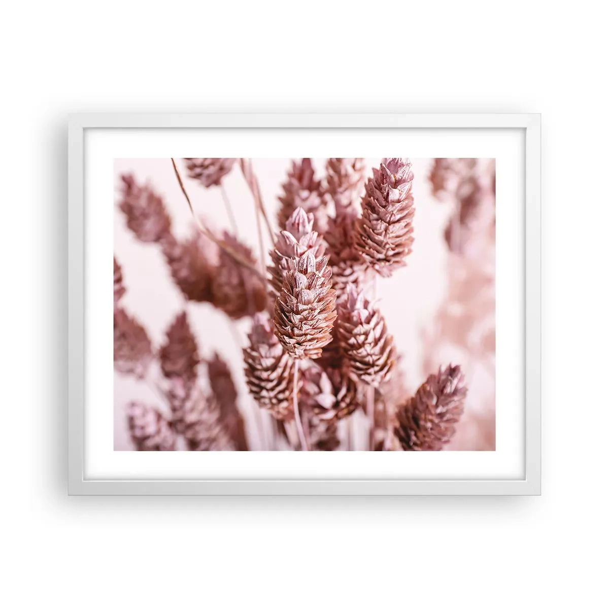 Plakat w białej ramie - Z pozoru niepozorne - 50x40 cm