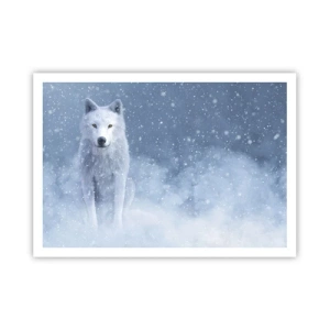 Plakat - Biały wilk w śnieżnej scenerii - 100x70cm - W zimowym duchu - Nowoczesna dekoracja ścienna do salonu i sypialni ARTTOR