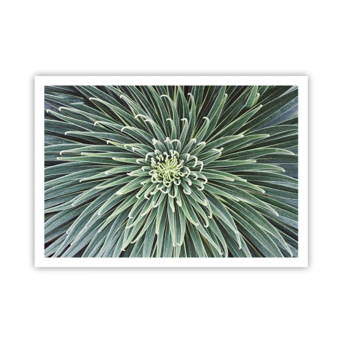 Plakat - Symetryczny układ zielonych liści przypominający gwiazdę - 100x70cm - Narodziny gwiazdy - Nowoczesna dekoracja ścienna do salonu i sypialni ARTTOR