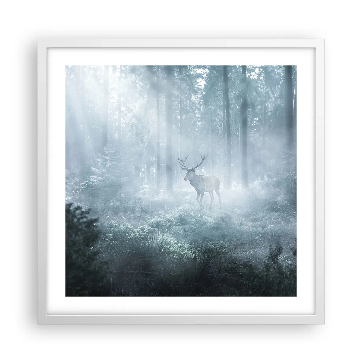 Plakat w białej ramie - Poranny obchód włości - 50x50 cm