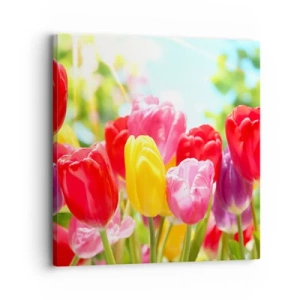 Obraz na płótnie - To my, kolory maja! - 30x30 cm