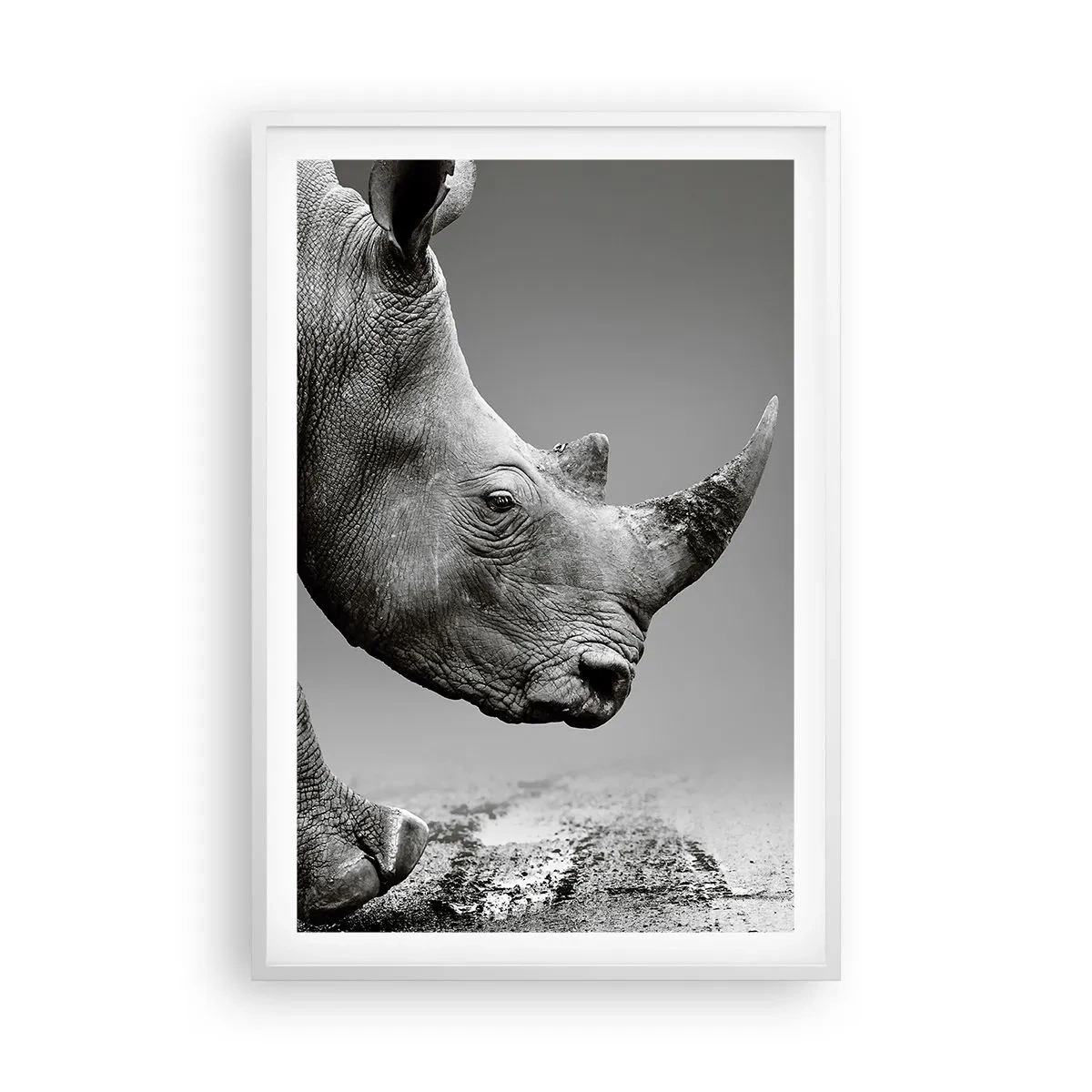 Plakat w białej ramie - Niepowstrzymana siła - 61x91 cm