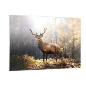 Obraz na szkle - Dostojny jeleń w jesiennym lesie oświetlonym słońcem - 120x80cm - W pełnym majestacie - Nowoczesna dekoracja ścienna do salonu, kuchni i sypialni ARTTOR