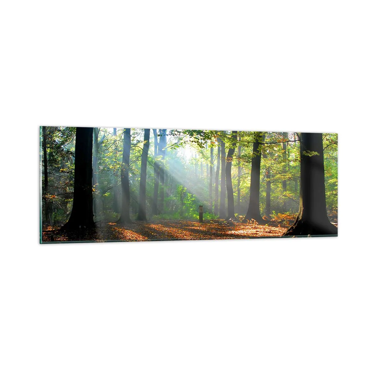 Obraz na szkle - Blaski i cienie - 90x30 cm