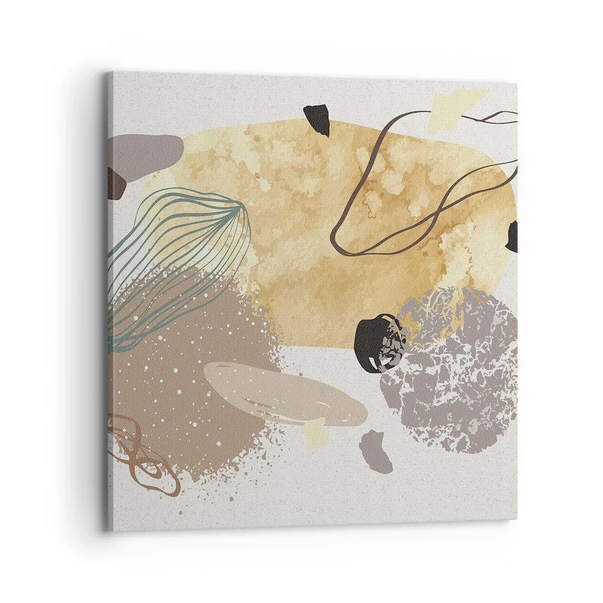 Obraz na płótnie - Plumkologia stosowana - 70x70 cm