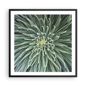 Plakat w czarnej ramie - Narodziny gwiazdy - 60x60 cm