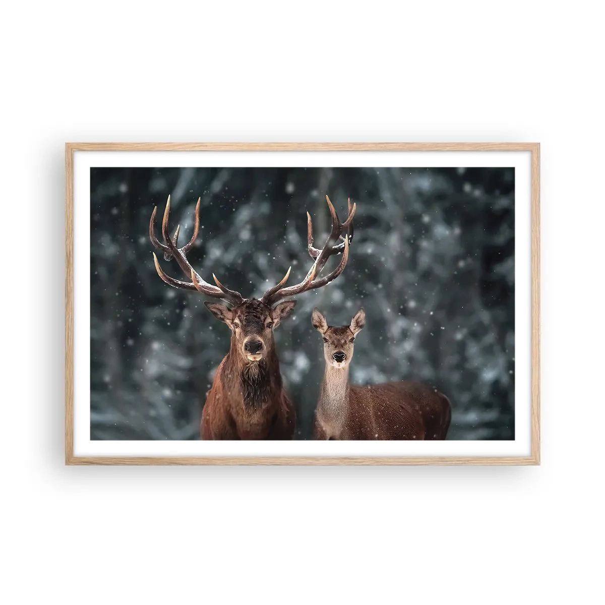 Plakat w ramie jasny dąb - Pan lasu z małżonką - 91x61 cm