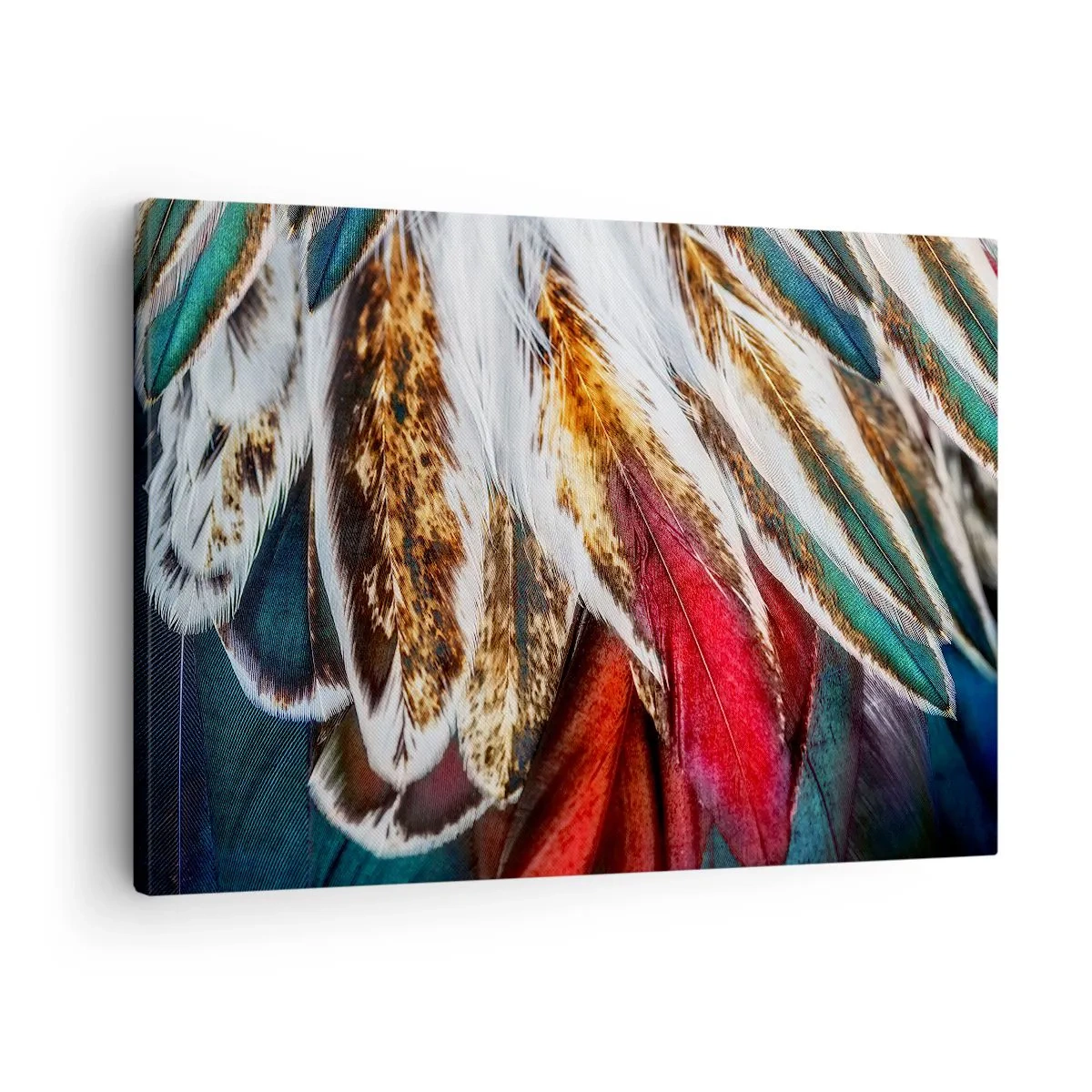 Obraz na płótnie - Zbliżenie na wielokolorowe pióra w żywych, intensywnych barwach - 70x50cm - Tajemnice lotu - Nowoczesna dekoracja ścienna do salonu i sypialni ARTTOR