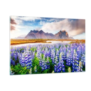 Obraz na szkle - Górski krajobraz z kwitnącą łąką i majestatycznymi szczytami - 120x80cm - Siła i surowość obok łagodności - Nowoczesna dekoracja ścienna do salonu, kuchni i sypialni ARTTOR