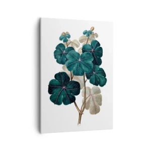 Obraz na płótnie - Botaniczna ilustracja zielonych liści na jasnym tle - 50x70cm - Ze starego zielnika - Nowoczesna dekoracja ścienna do salonu, kuchni i sypialni ARTTOR