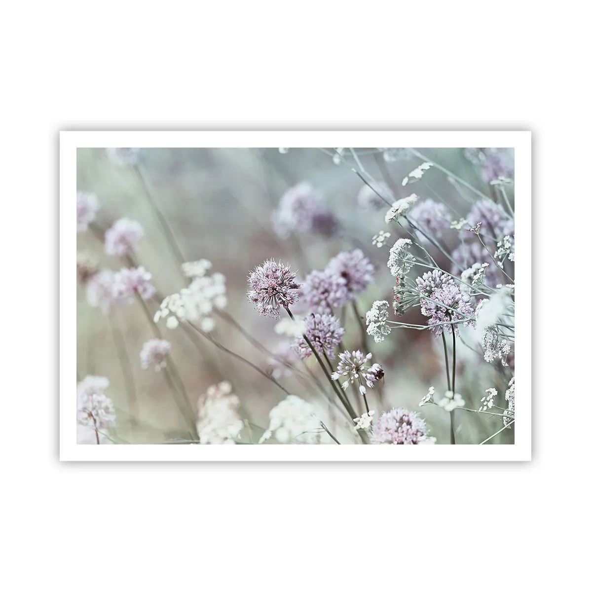 Plakat - Delikatne kwiaty w pastelowych odcieniach - 100x70cm - Słodkie filigrany ziół - Nowoczesna dekoracja ścienna do salonu i sypialni ARTTOR