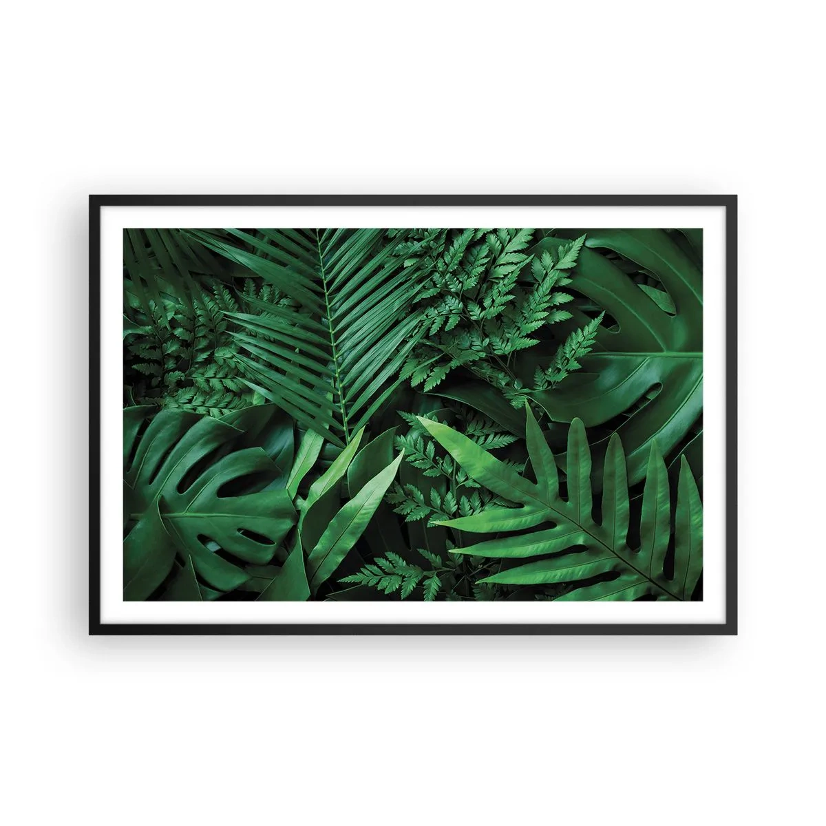 Plakat w czarnej ramie - Utulone w zieleni - 91x61 cm