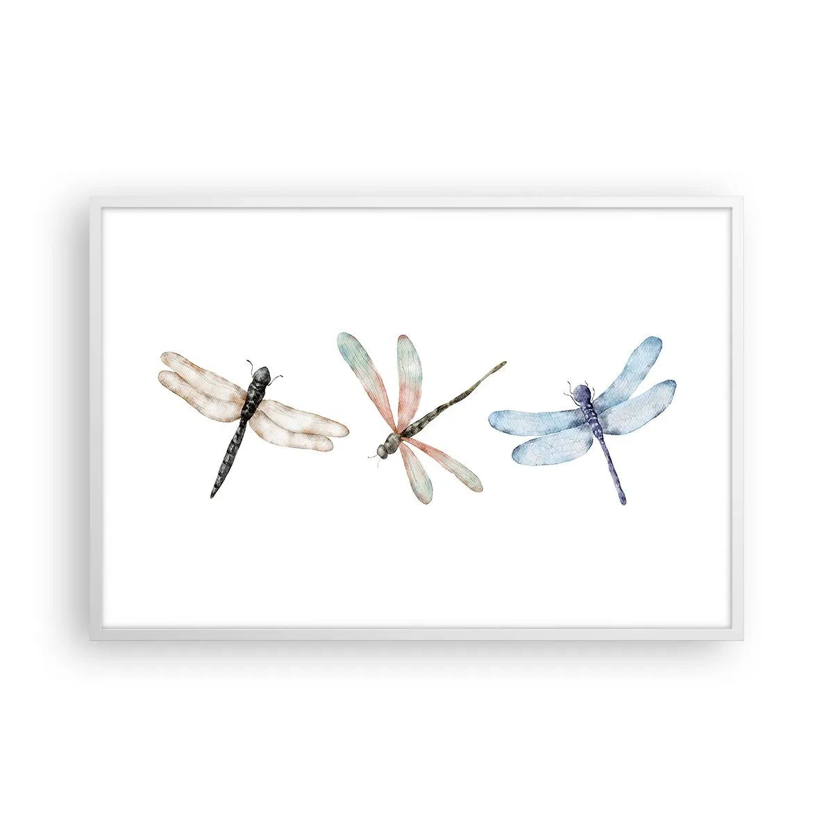 Plakat w białej ramie - Ważki nieważkie - 91x61 cm