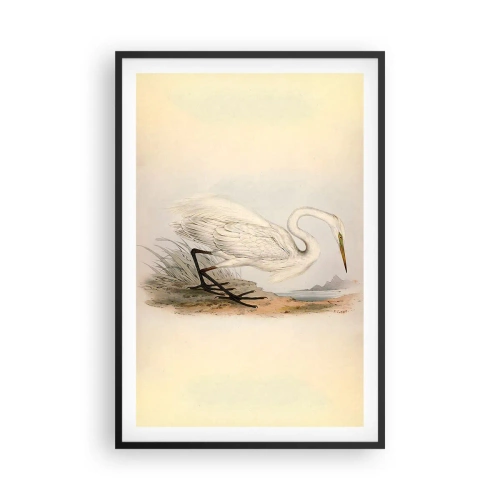 Plakat w czarnej ramie - Pani na szuwarach - 61x91 cm