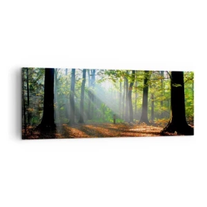 Obraz na płótnie - Leśna polana oświetlona promieniami słońca - 140x50cm - Blaski i cienie - Nowoczesna dekoracja ścienna do salonu i sypialni ARTTOR