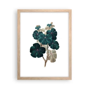 Plakat w ramie jasny dąb - Ze starego zielnika - 30x40 cm