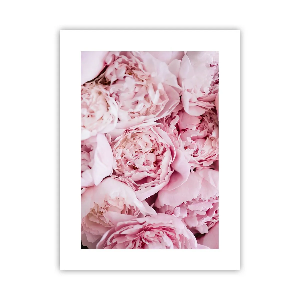 Plakat - Przytulone i pachnące - 30x40 cm