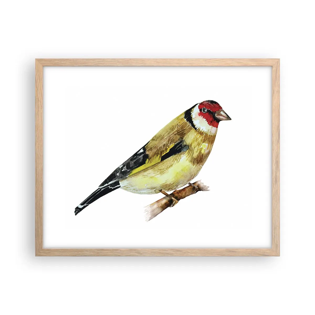 Plakat w ramie jasny dąb - Ptasi portret - 50x40 cm