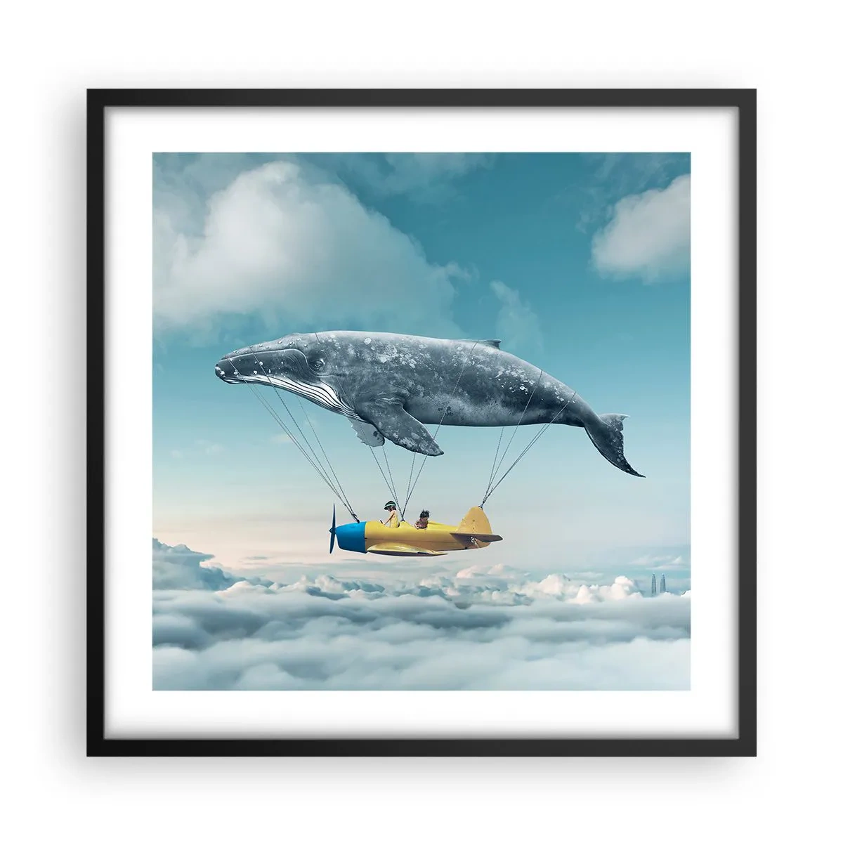 Plakat w czarnej ramie - Dlaczego nie? - 50x50 cm