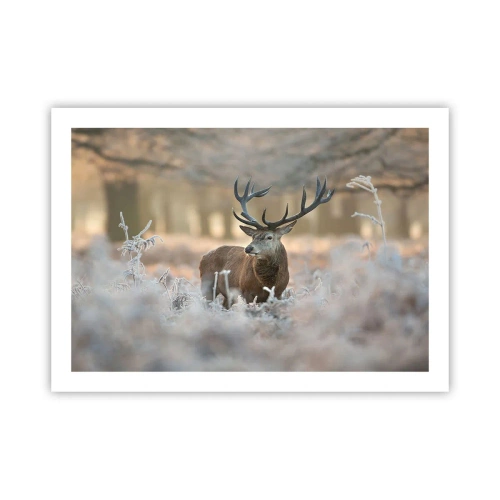 Plakat - Rześki poranek - 70x50 cm