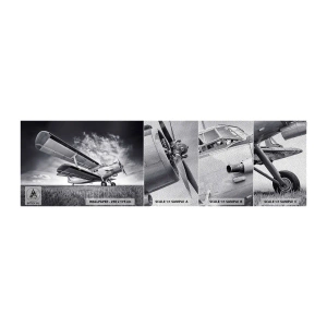 Fototapeta Próbka Premium Sand - Skrzydlaty wędrowiec - Samolot, Lotnictwo, Czarno-Biały - 100x30 cm