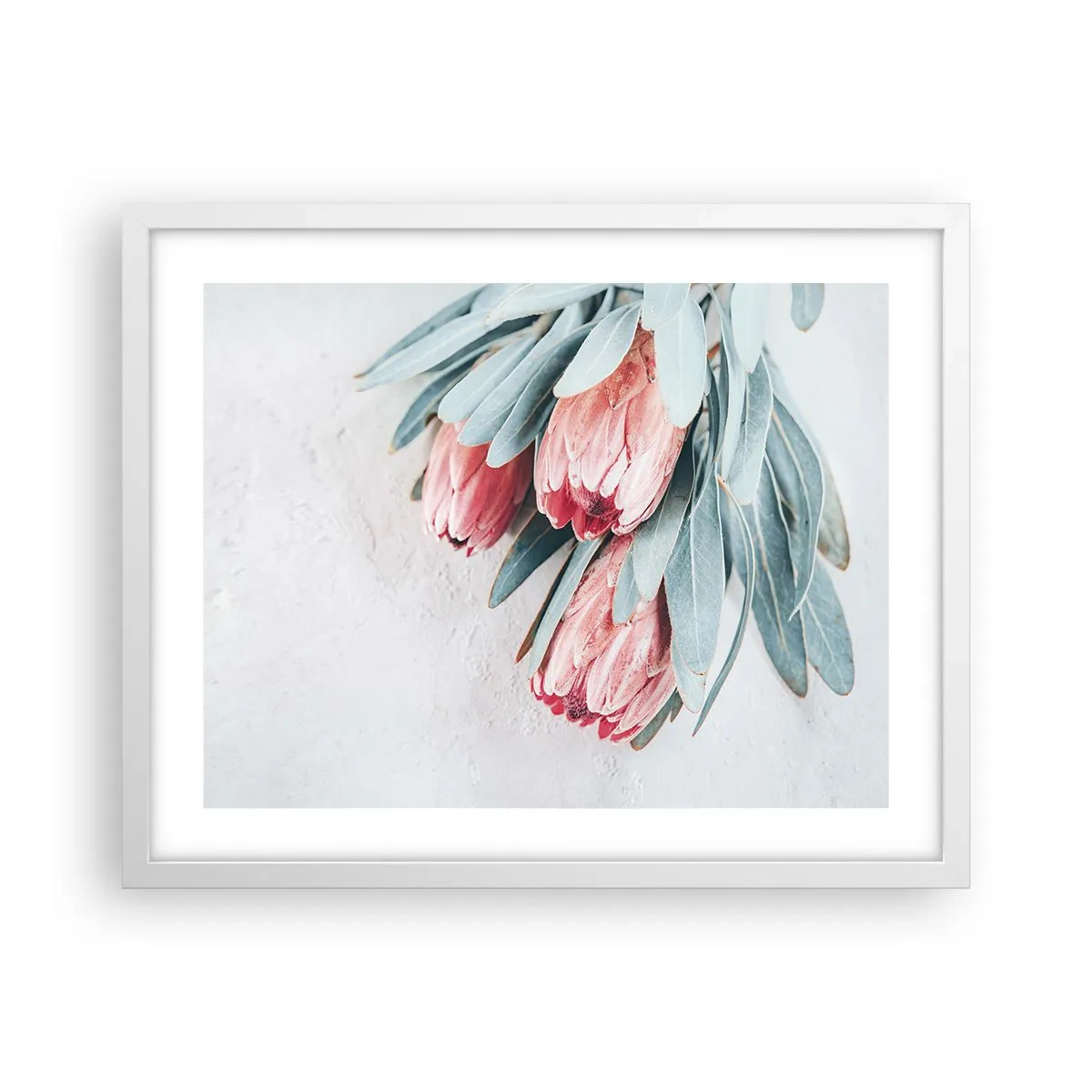 Plakat w białej ramie - Zawstydzone własną urodą - 50x40 cm