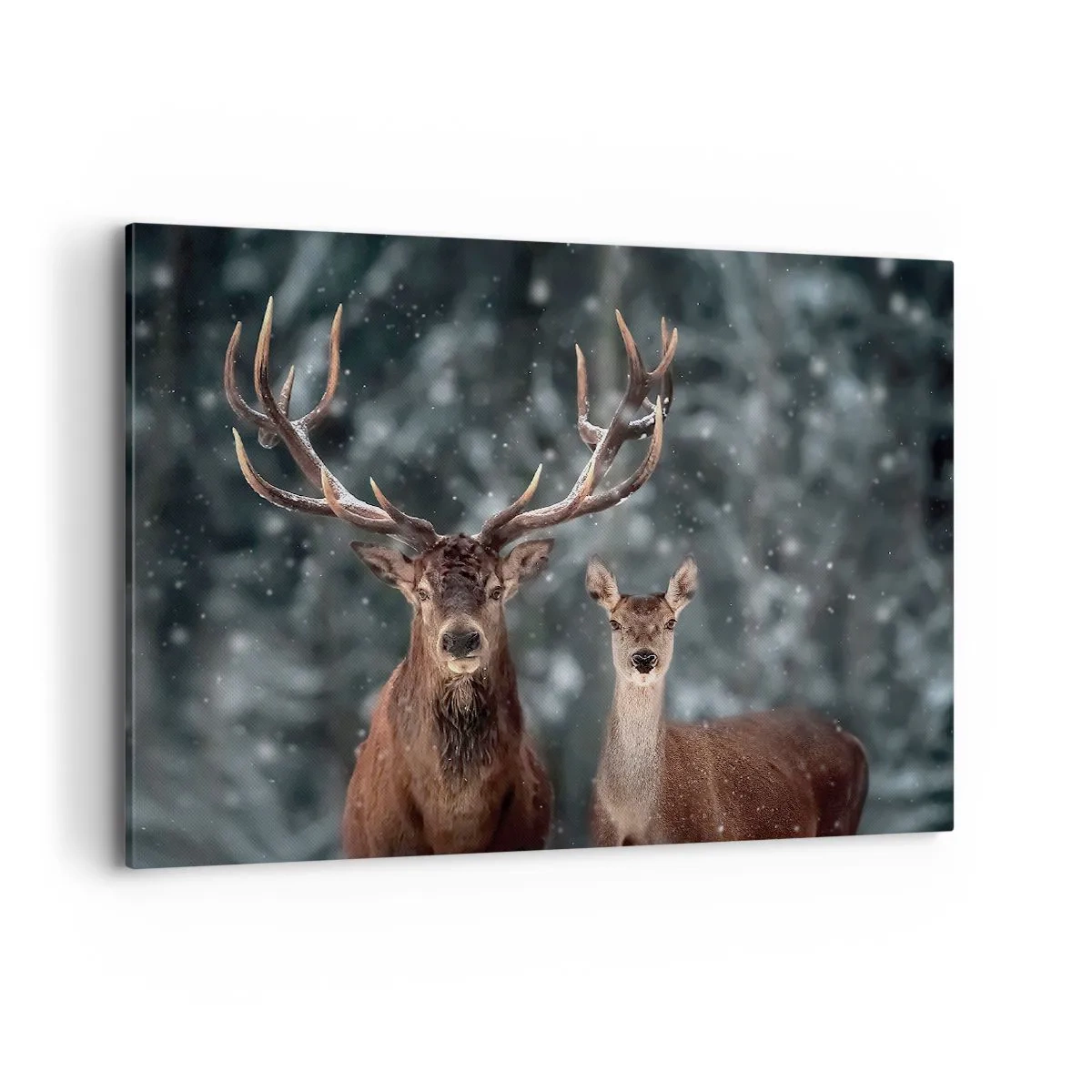 Obraz na płótnie - Jelenie w zimowym lesie pokrytym śniegiem - 100x70cm - Pan lasu z małżonką - Nowoczesna dekoracja ścienna do salonu, kuchni i sypialni ARTTOR