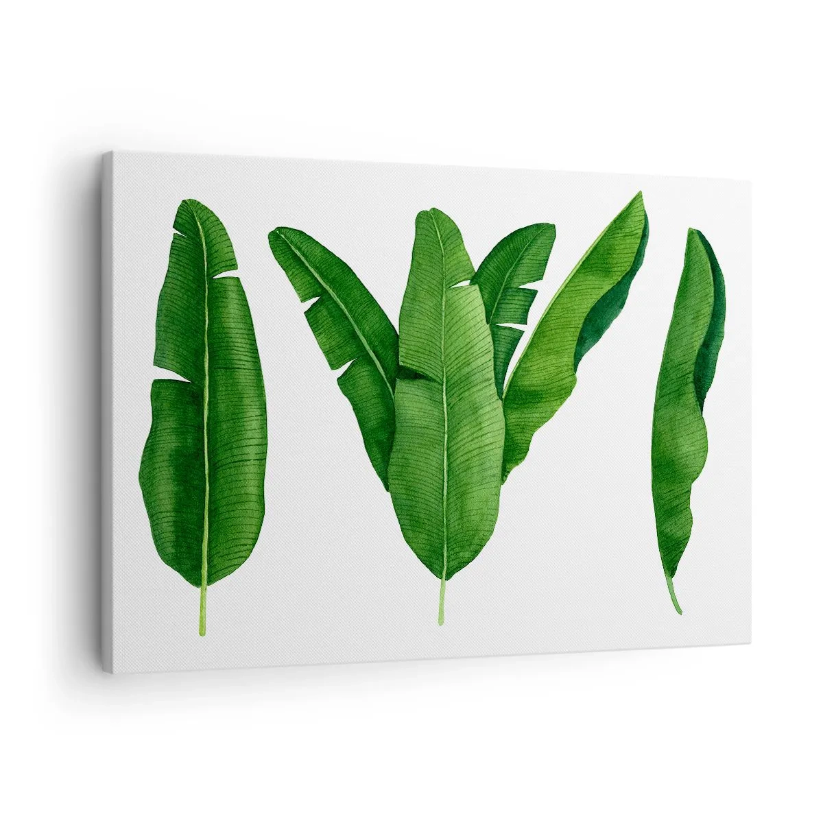 Obraz na płótnie - Trzy liście bananowca w artystycznym ujęciu - 70x50cm - Zielona symetria - Nowoczesna dekoracja ścienna do salonu i sypialni ARTTOR