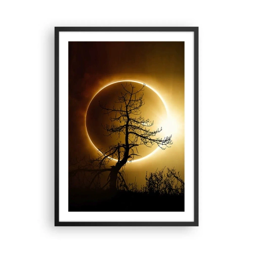 Plakat w czarnej ramie - Zjawiskowy zachód słońca z drzewem na pierwszym planie - 50x70cm - Całkowite zaćmienie - Nowoczesna dekoracja ścienna do salonu i sypialni ARTTOR