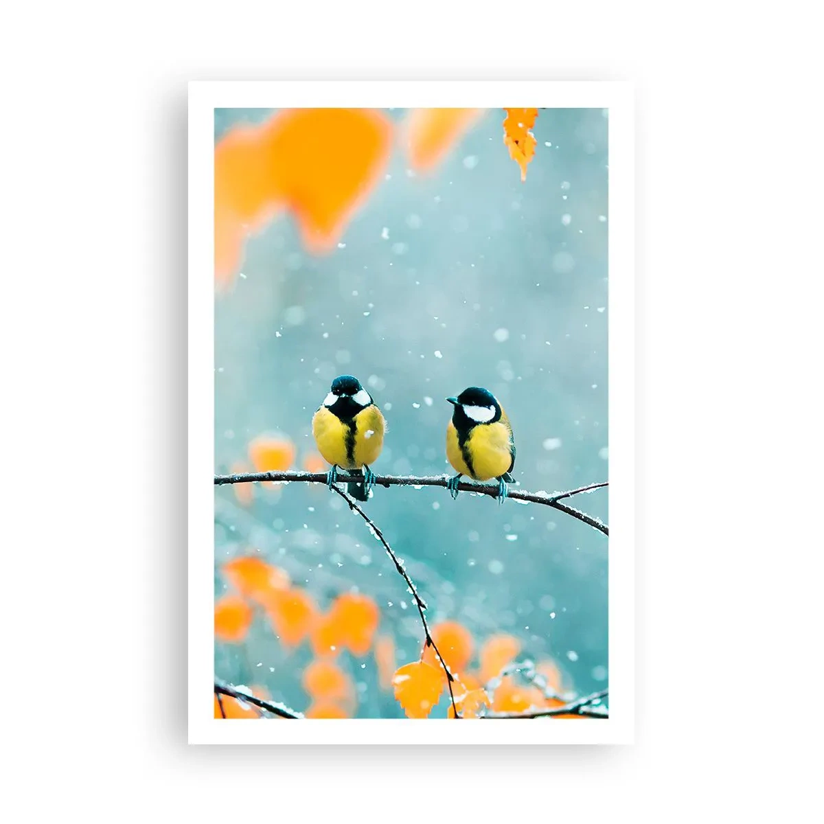 Plakat - Ptasie plotki - 61x91 cm