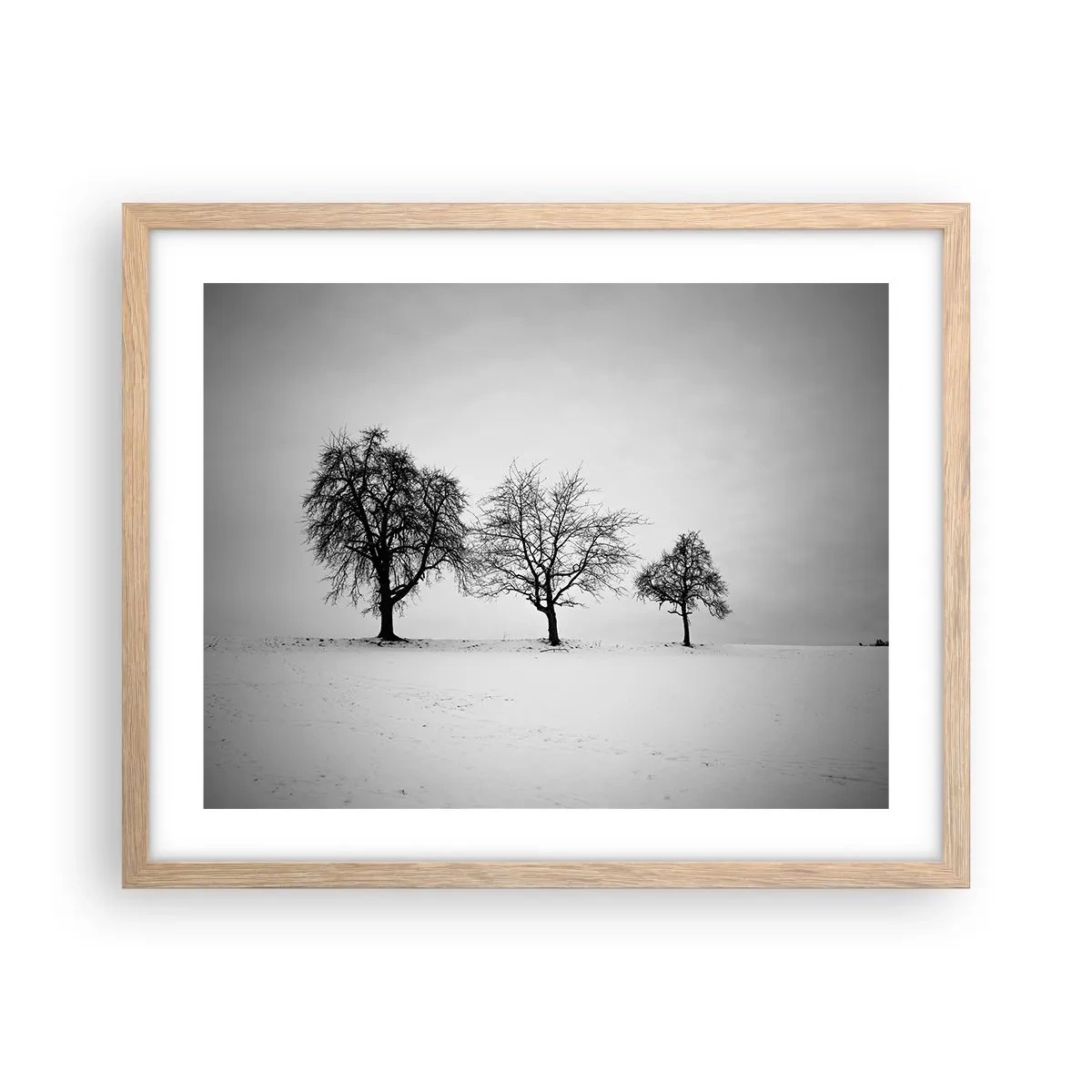 Plakat w ramie jasny dąb - O czym śnią? - 50x40 cm