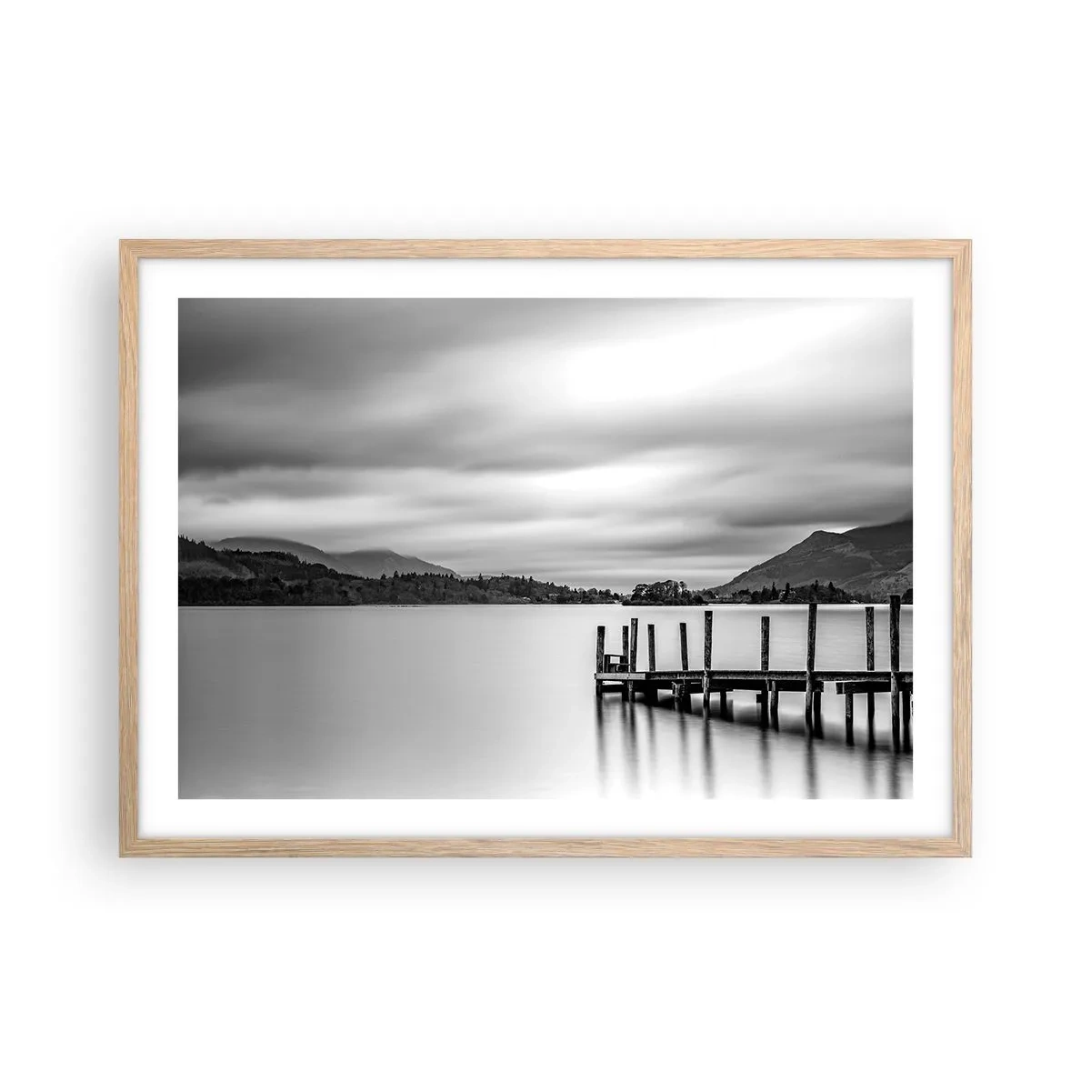 Plakat w ramie jasny dąb - Łagodność i siła - 70x50 cm