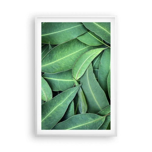 Plakat w białej ramie - Soczyste i świeże - 61x91 cm