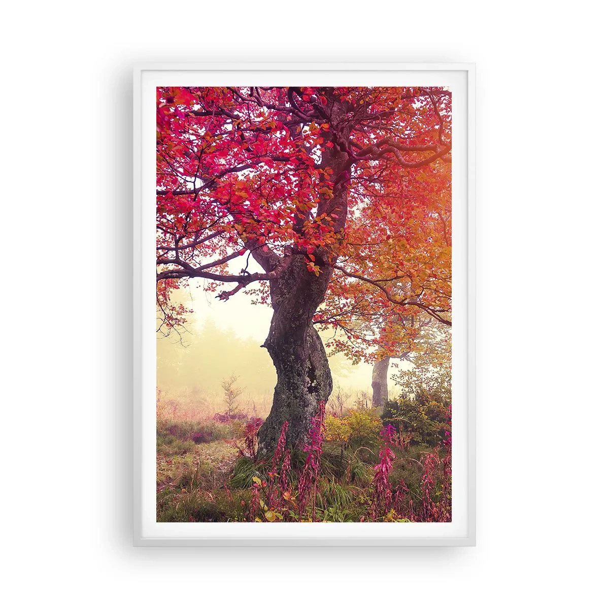 Plakat w białej ramie - Szał rozkwitu - 70x100 cm