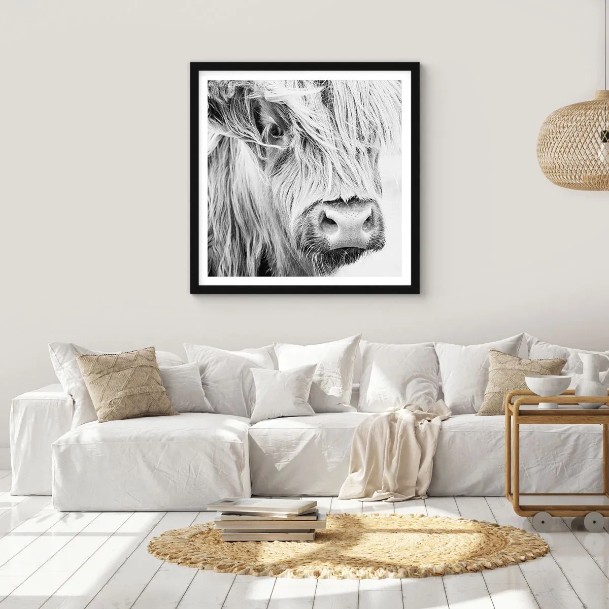 Plakat w czarnej ramie - Szkocka dzikość - 60x60 cm