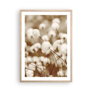Plakat w ramie jasny dąb - Puszysty łan - 50x70 cm