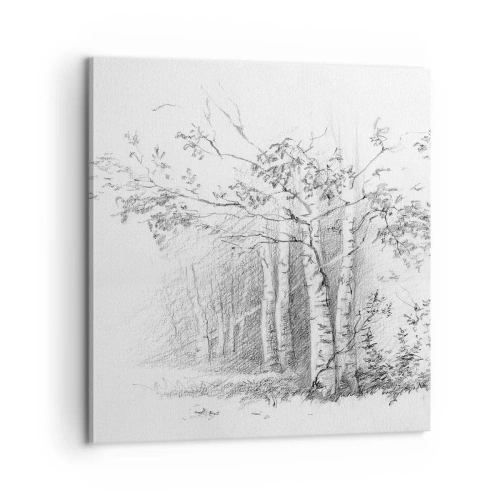 Obraz na płótnie - Światło brzozowego lasu - 60x60 cm