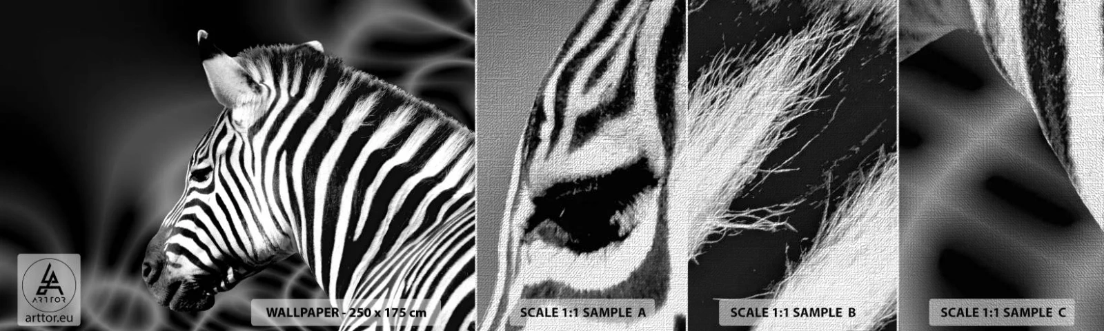 Fototapeta Próbka Premium Canvas - Białe jest białe, a czarne jest czarne - Zebra, Czarno-Biały, Zwierzęta - 100x30 cm