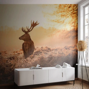 Fototapeta Premium Sand - Jeleń w złotym świetle zachodu - 100x70cm - Pan na włościach - Nowoczesna dekoracja ścienna do salonu, kuchni i sypialni ARTTOR