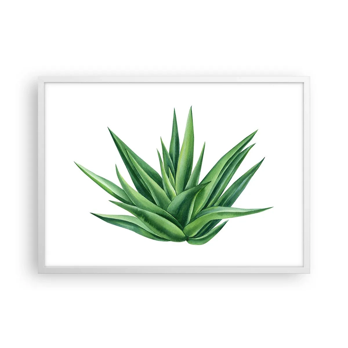 Plakat w białej ramie - Zieleń – siła – życie - 70x50 cm