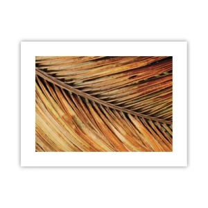 Plakat - Kokosowe złoto - 40x30 cm