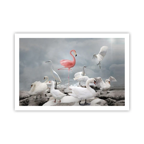 Plakat - Skąd się tu wziąłem? - 91x61 cm