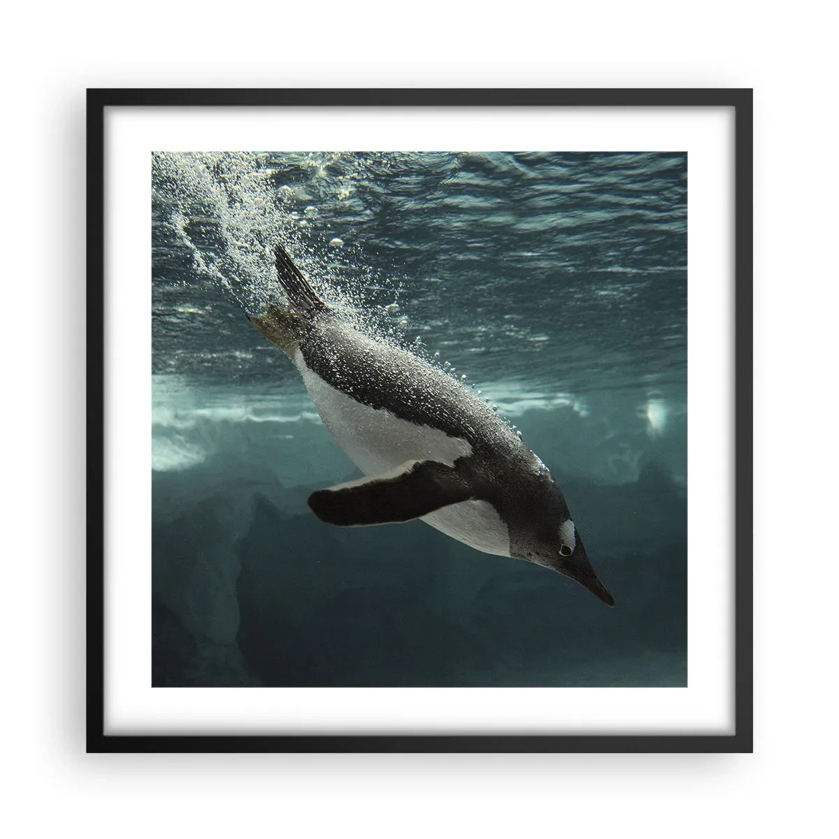 Plakat w czarnej ramie - Witaj w moim świecie - 50x50 cm