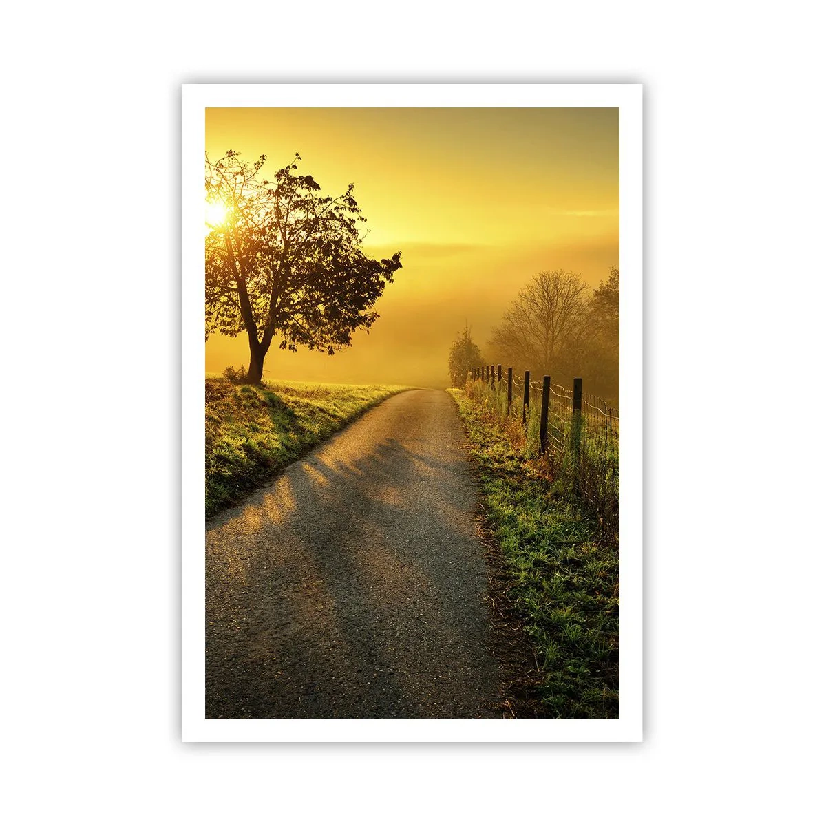 Plakat - Miodne popołudnie - 70x100 cm