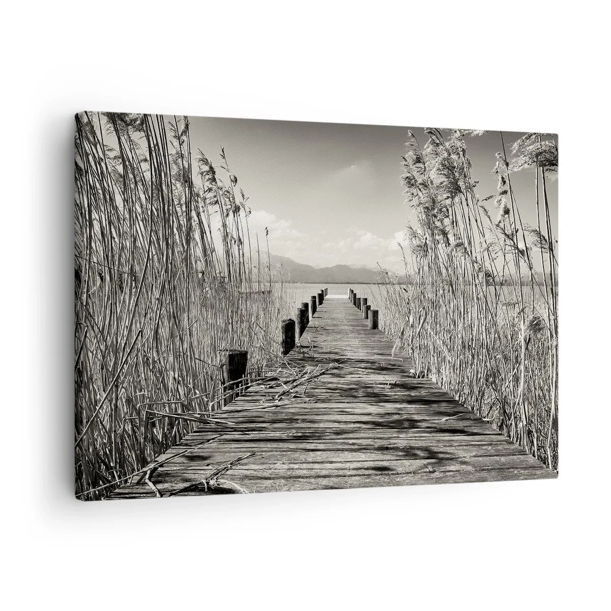 Obraz na płótnie - Drewniany pomost wśród wysokich traw nad jeziorem w odcieniach sepia - 70x50cm - W zaciszu traw - Nowoczesna dekoracja ścienna do salonu i sypialni ARTTOR