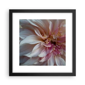 Plakat w czarnej ramie - Kwitnąca świeżość - 30x30 cm