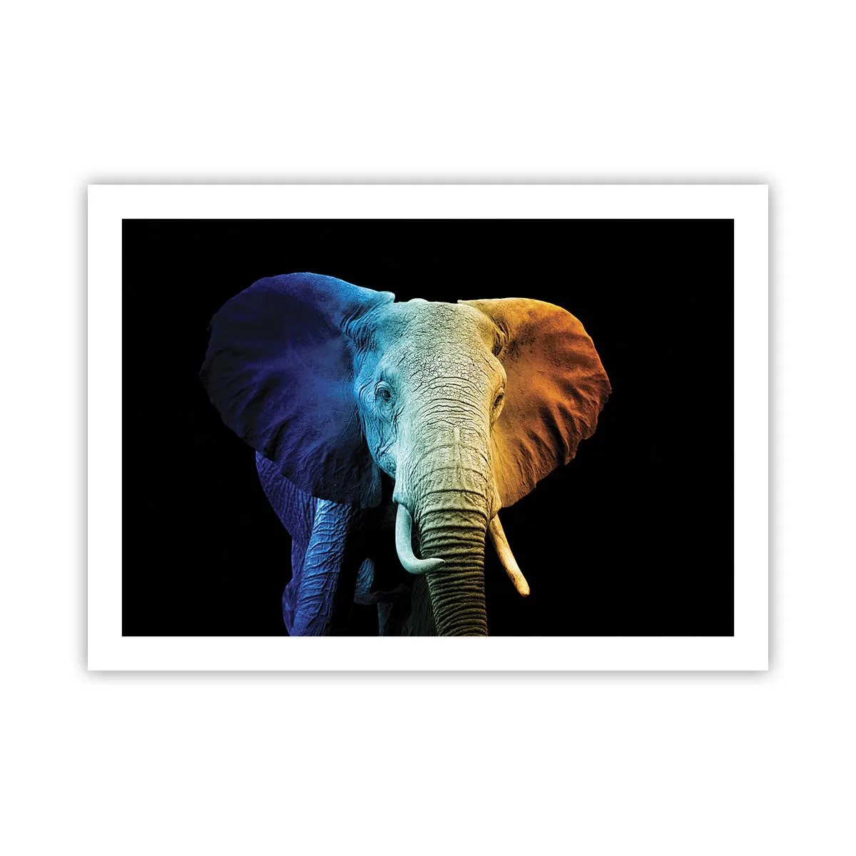 Plakat - Ekscentryk, nie dziwak - 70x50 cm