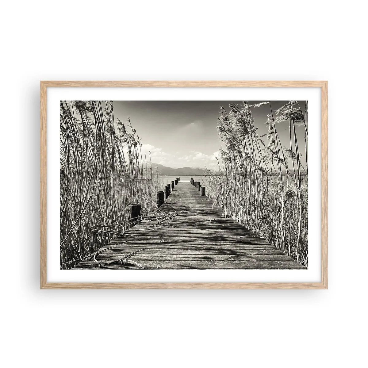 Plakat w ramie jasny dąb - W zaciszu traw - 70x50 cm