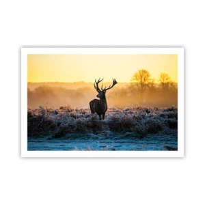 Plakat - Koronowany na swoich włościach - 91x61 cm